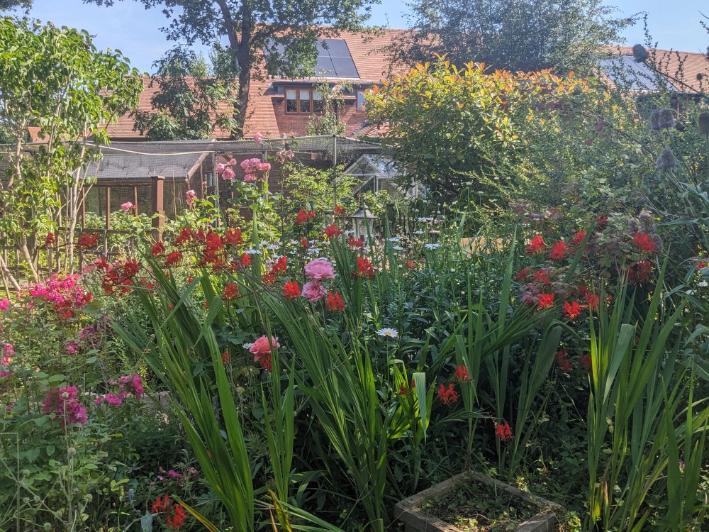 A cottage garden bed