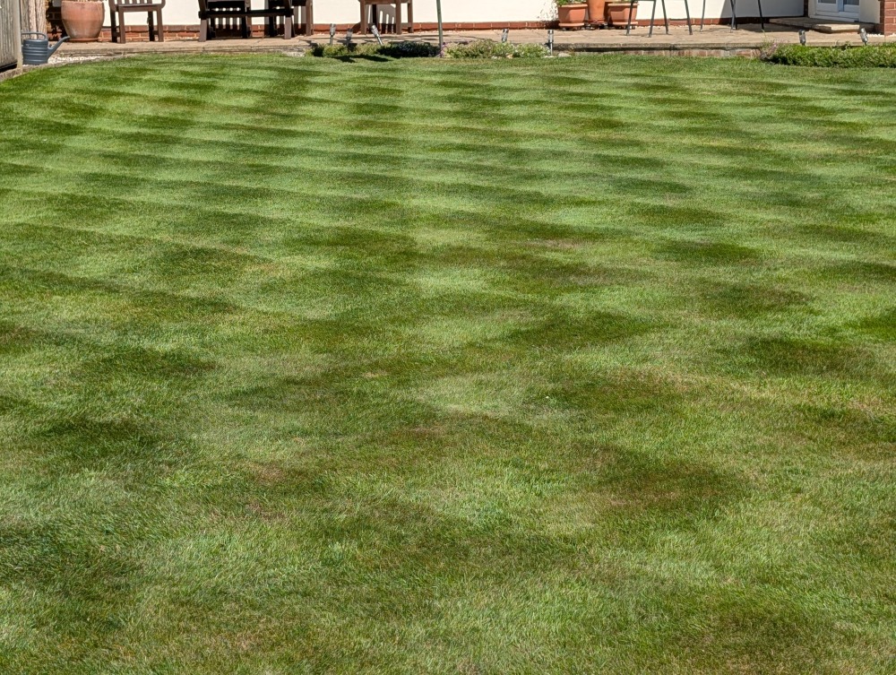 Tri-cut lawn in Ifold, West Sussex