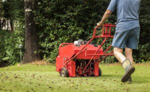 Mechanical Lawn Aeration