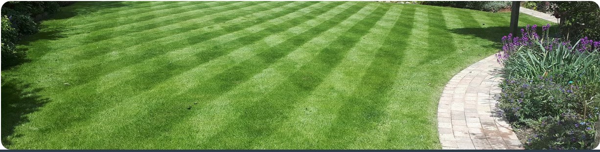A customers lawn
