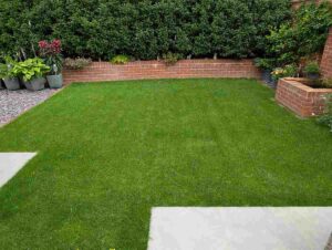 Lawn on our treatment programme