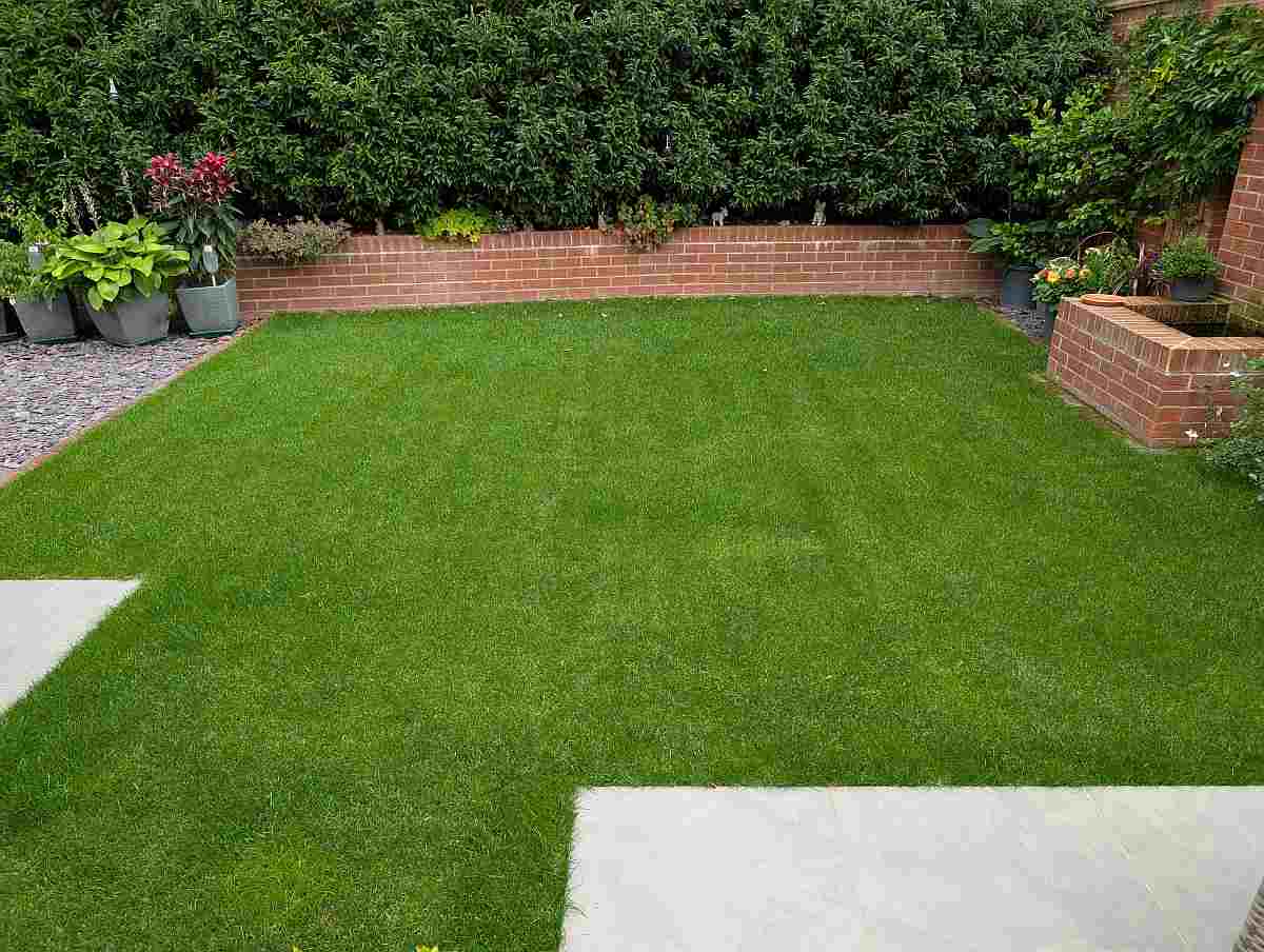 minerva-heights1 Lawn on our treatment programme