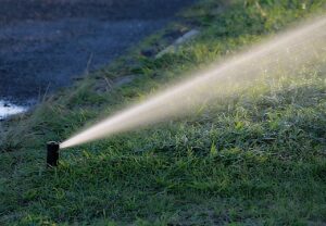 Lawn Watering with a pop-up sprinkler