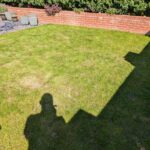 Problem lawn first photograph in April